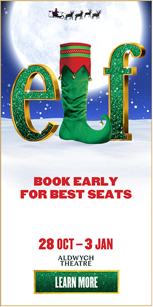 Elf_Sales_Messaging_Campaign_300x600_BACK-UP