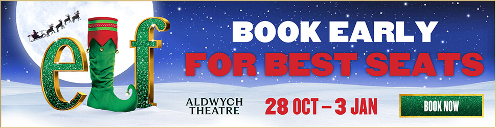 Elf_Sales_Messaging_Campaign_970x250_BACK-UP